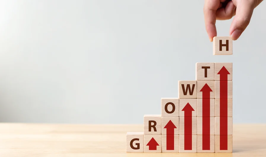 business growth stages